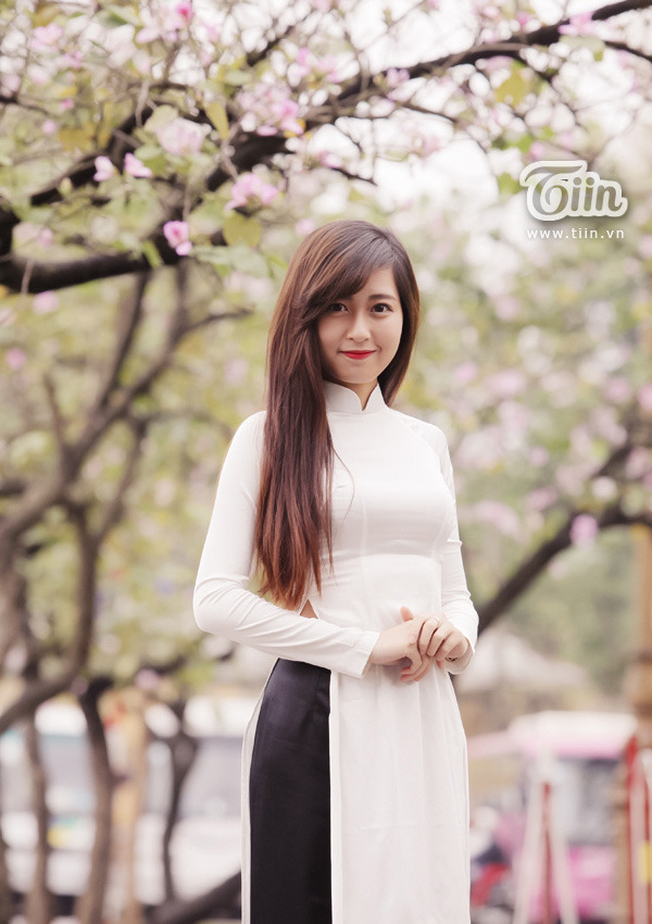 theidol美剧免费观看